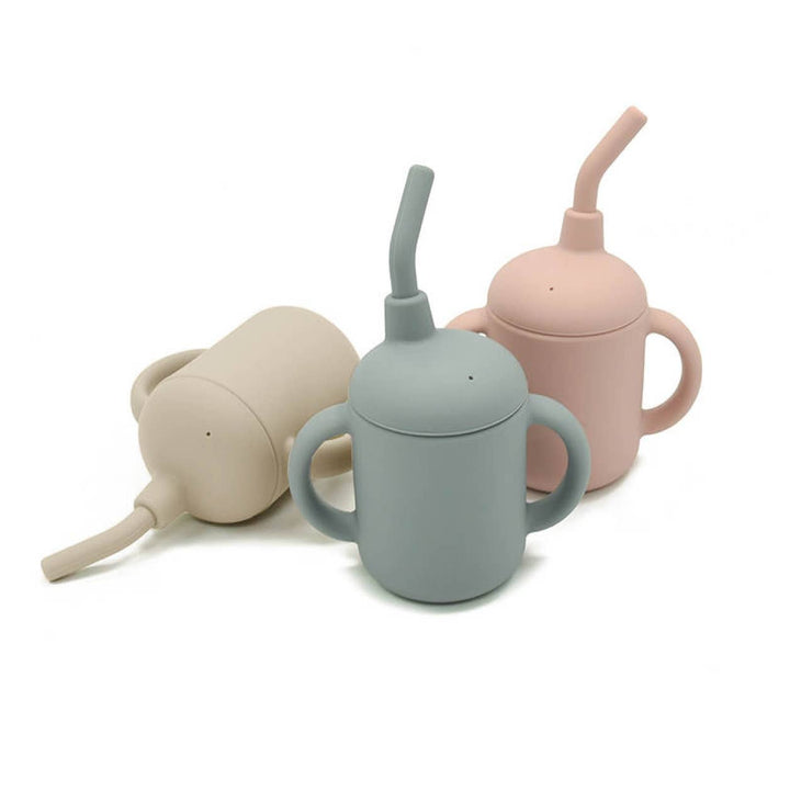 Sippy Cup with Straw Color: Blush