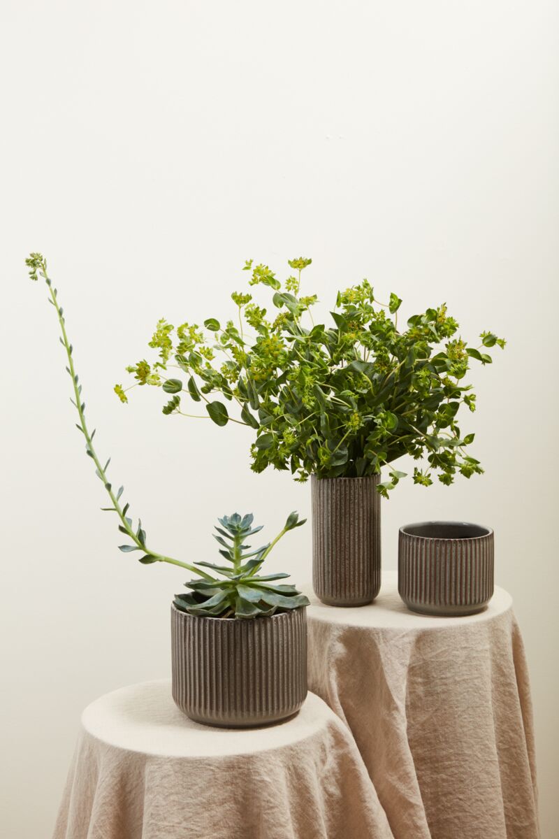 habitat plant pots Habitat Pot – Shop Holland House