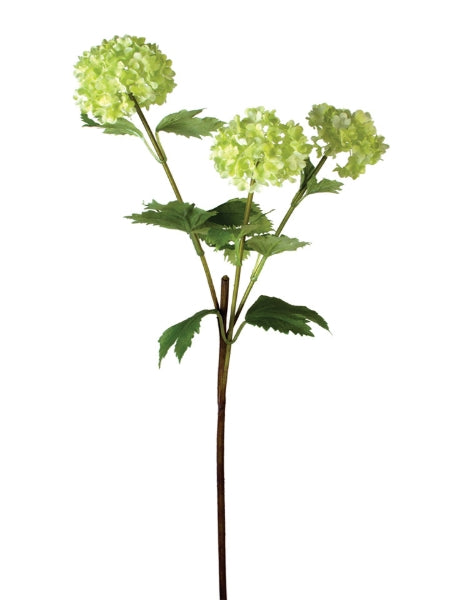 Artificial green hydrangea flower branch on a white background