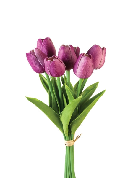 Violet Tulip Bundle
