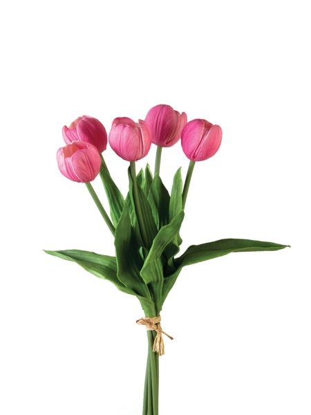 Bouquet of pink tulips with green leaves on a white background