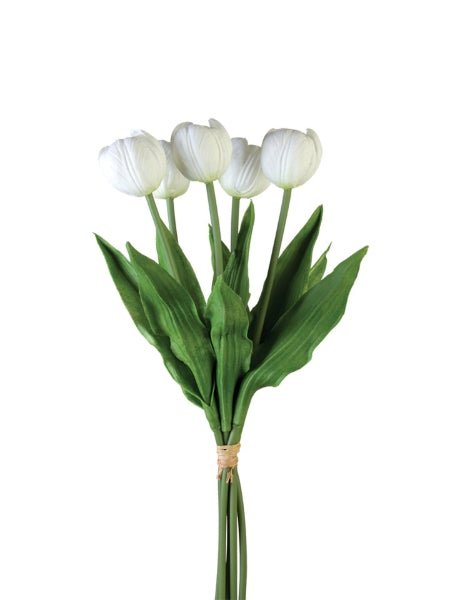 Bouquet of white tulips with green leaves on a white background