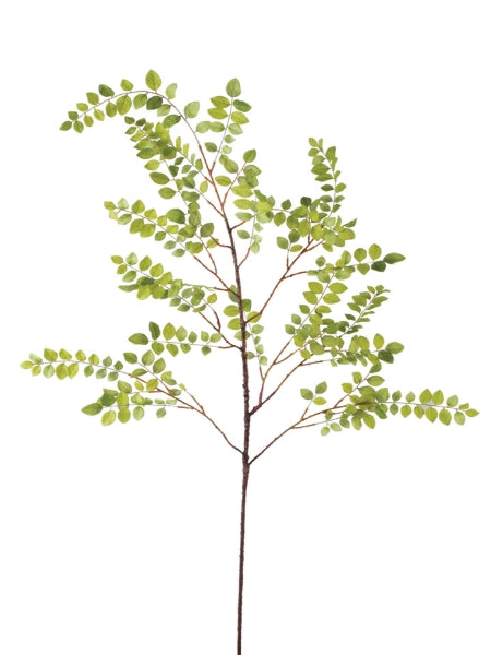 realistic faux boxwood leaf spray