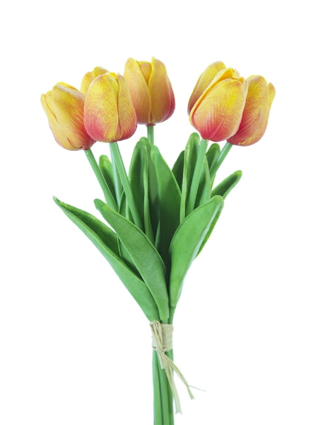 Bouquet of yellow and pink tulips on a white background