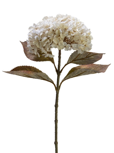 Hydrangea Spray