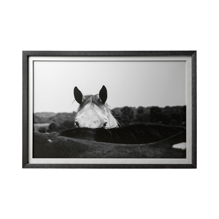 Framed black and white photograph of a horse in a field
