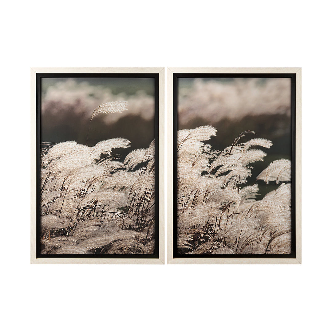 Two framed black and white nature prints of reeds 
