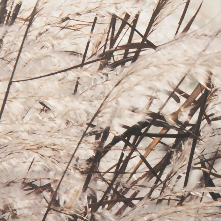 Nature's Melody Set