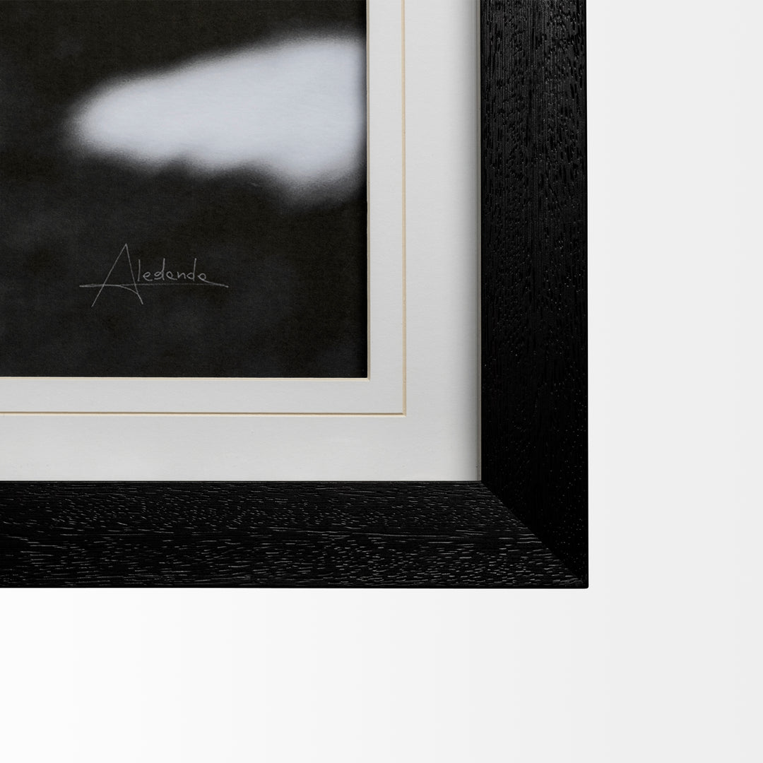 Framed artwork with a black border and white mat, featuring the artist's signature.