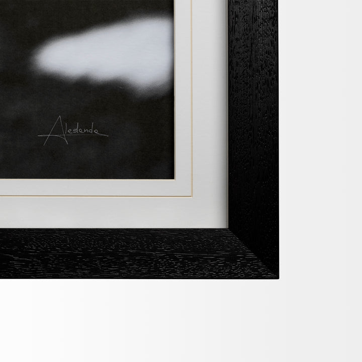 Framed artwork with a black border and white mat, featuring the artist's signature.