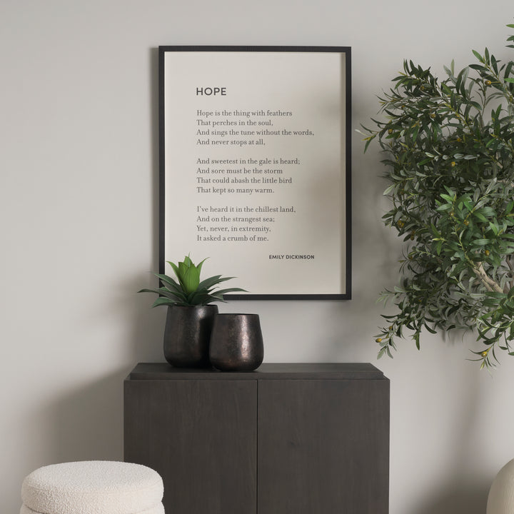 Framed poem titled 'Hope' by Emily Dickinson on a wall above a cabinet with plants.
