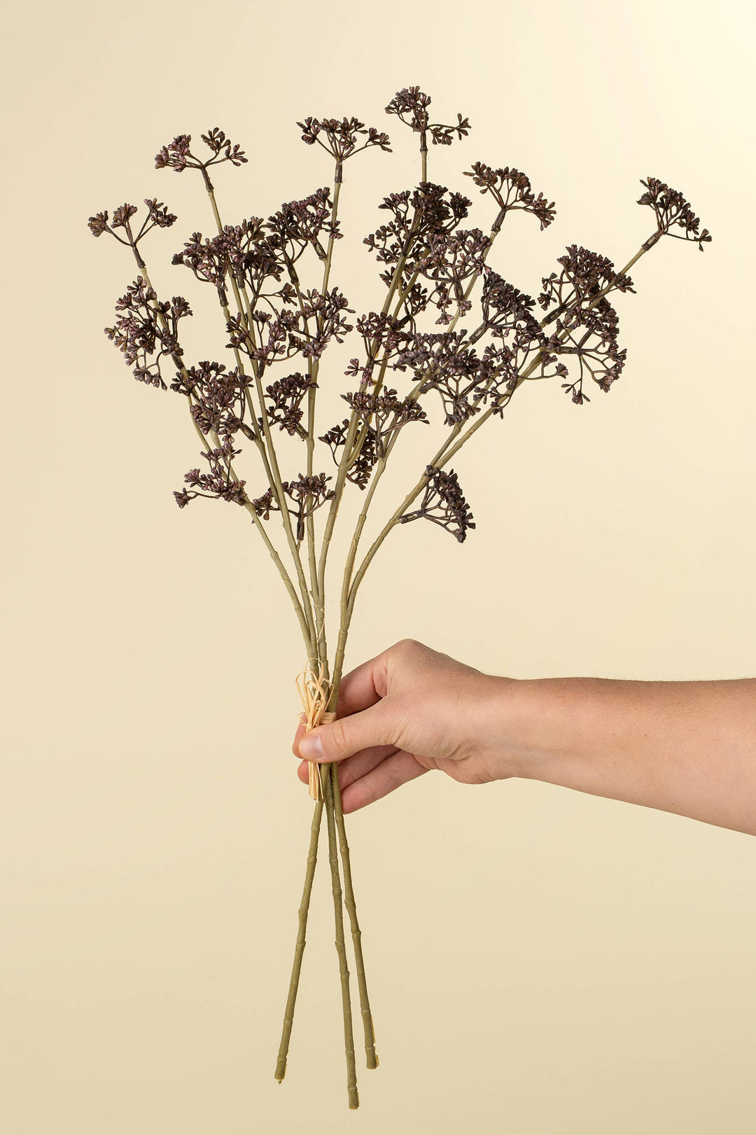 Hand holding a bundle of dried flowers against a beige background
