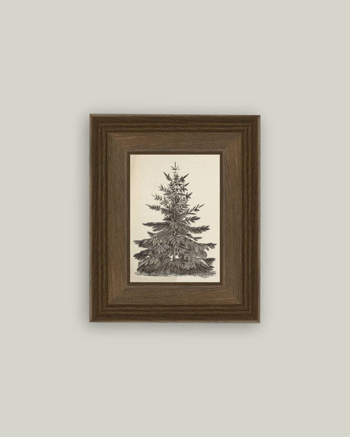 Framed artwork of a pine tree 
