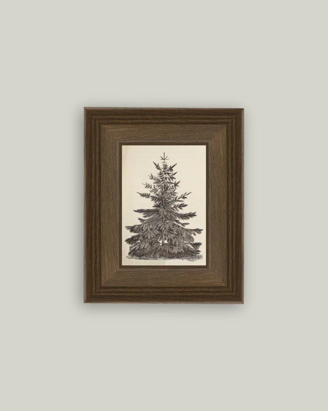Vintage Pine Tree Framed Antique Art: 8x10