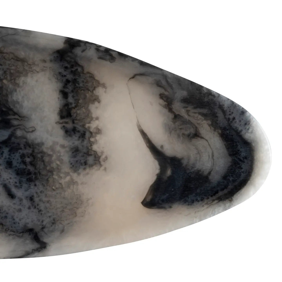 Close-up of a shark fin with black and white patterns on a white background