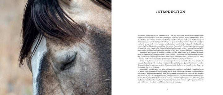 Close-up of a horse's face with text