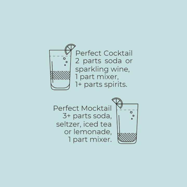 Strawberry & Rhubarb Mixer, 16 fl oz