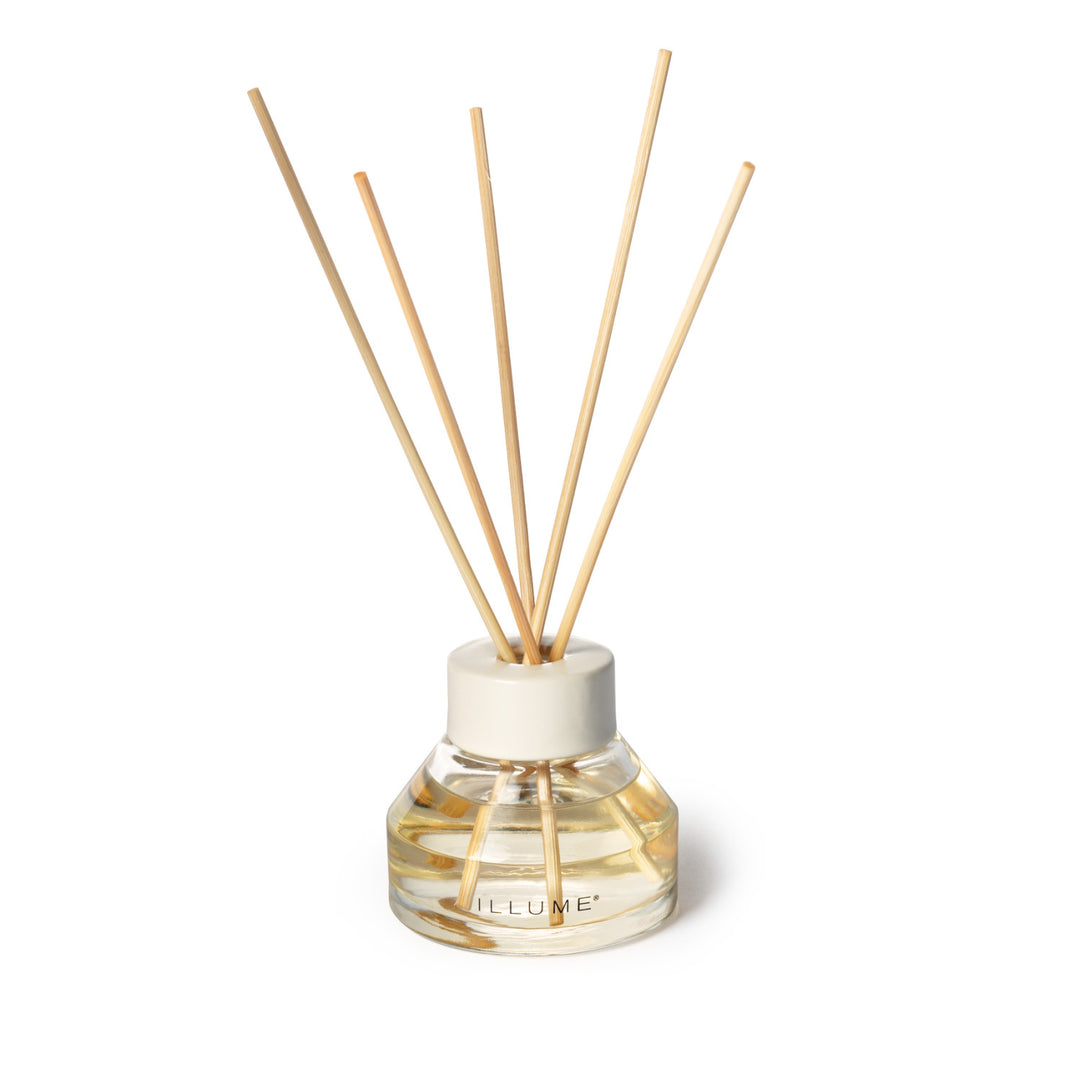 Blackberry Absinthe Aromatic Diffuser