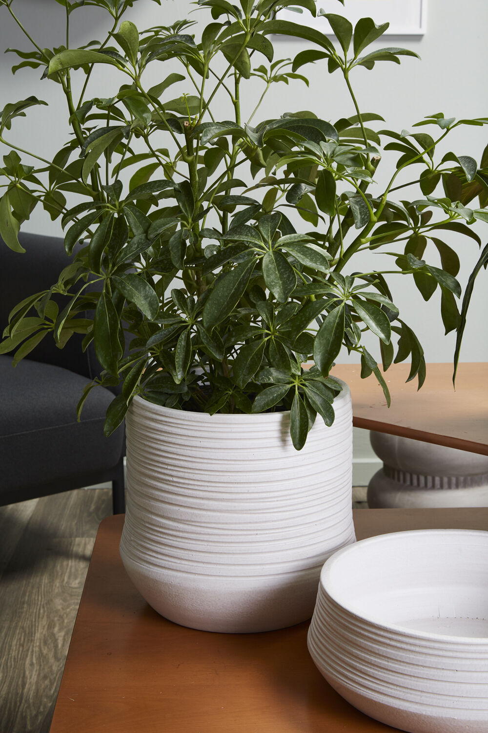 Off Menu Pots Offshore Pot – Shop Holland House