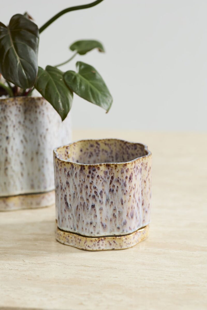Ceramic plant pot with textured surface on a light wooden surface