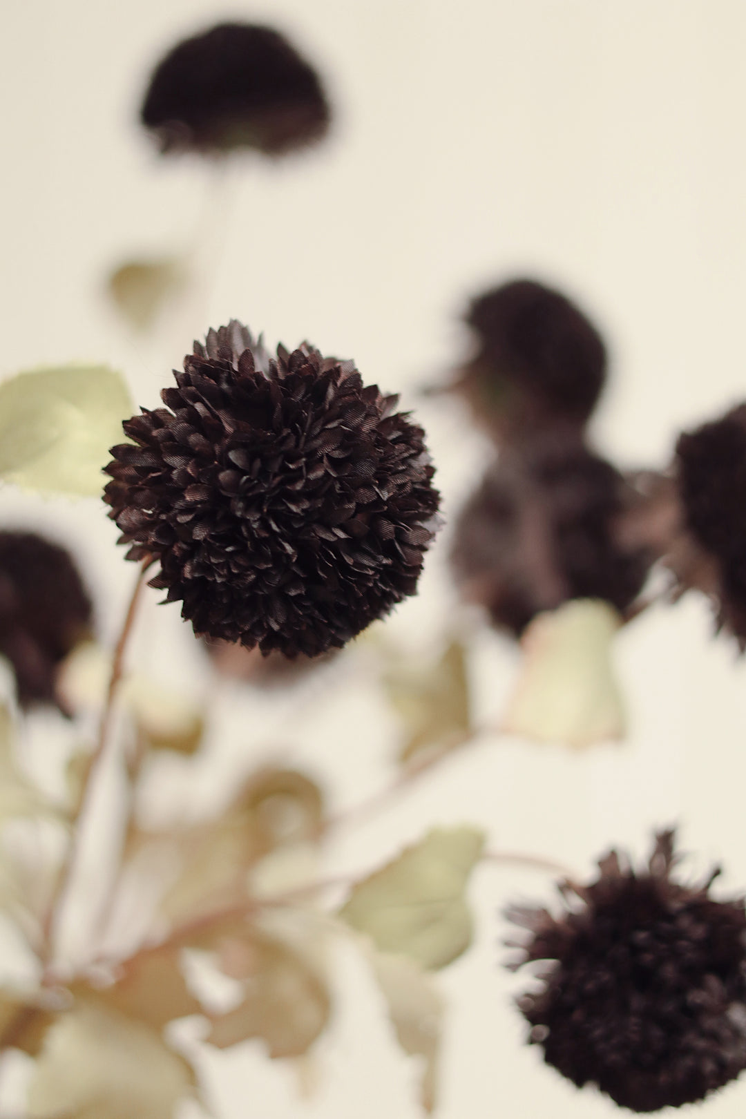 Midnight Pom Pom Floral Spray