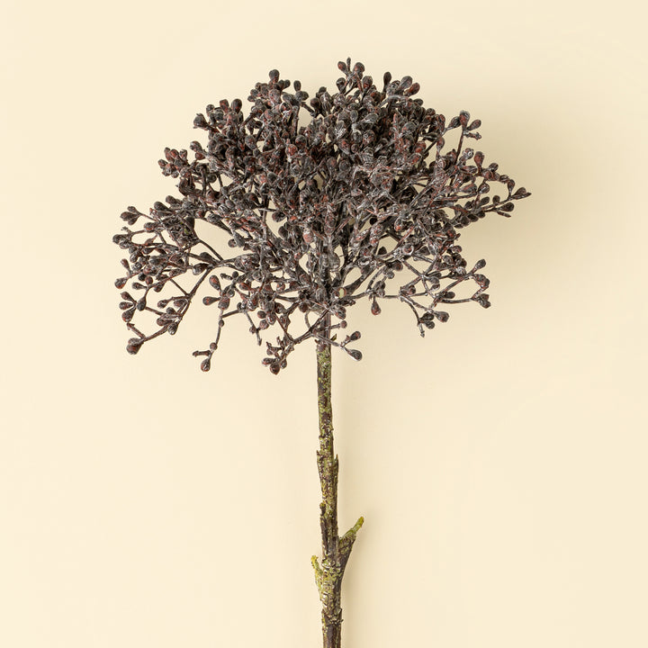Viburnum Berry Stem