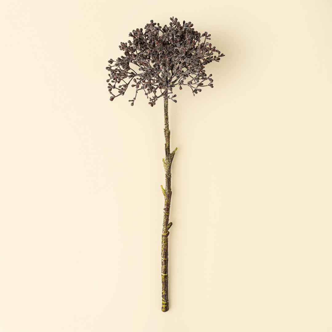 Viburnum Berry Stem