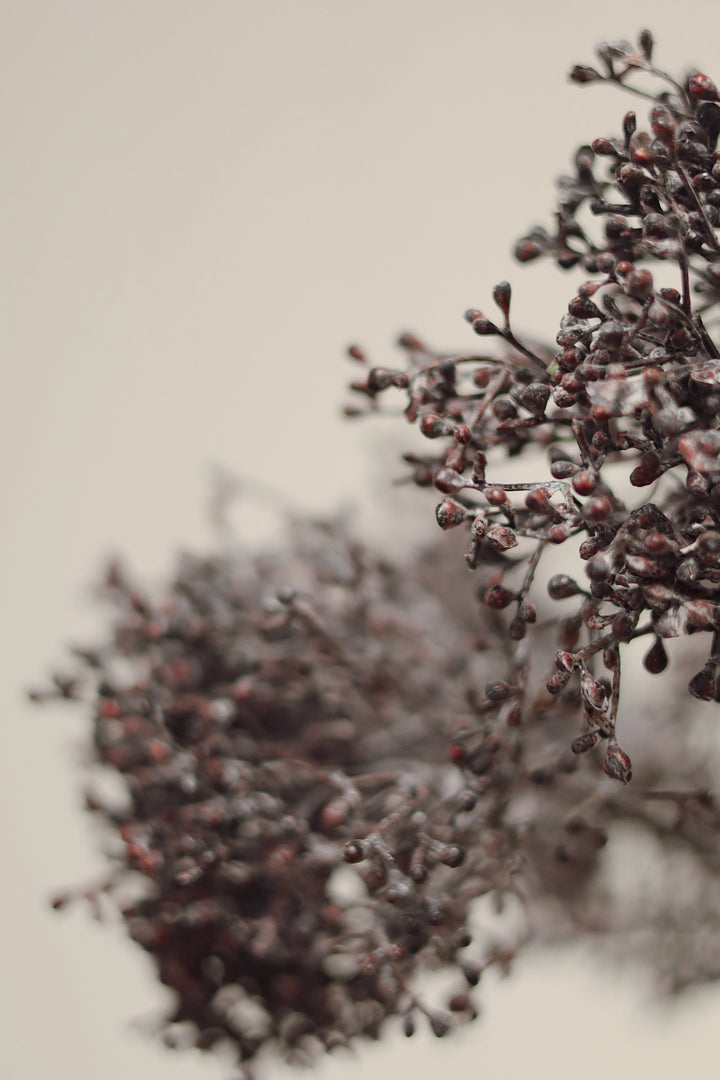 Viburnum Berry Stem