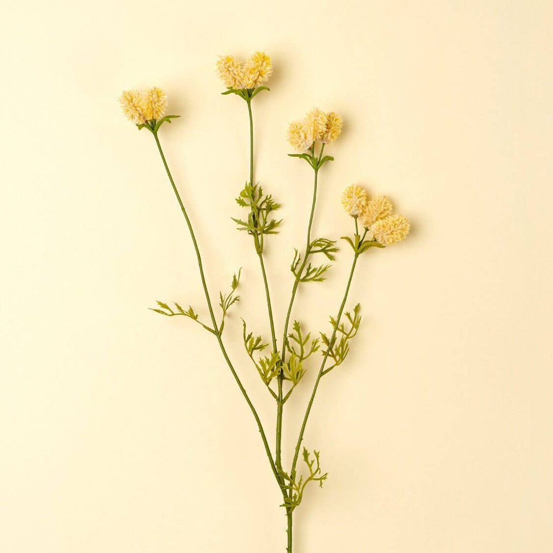 Bouquet of yellow flowers on a beige background