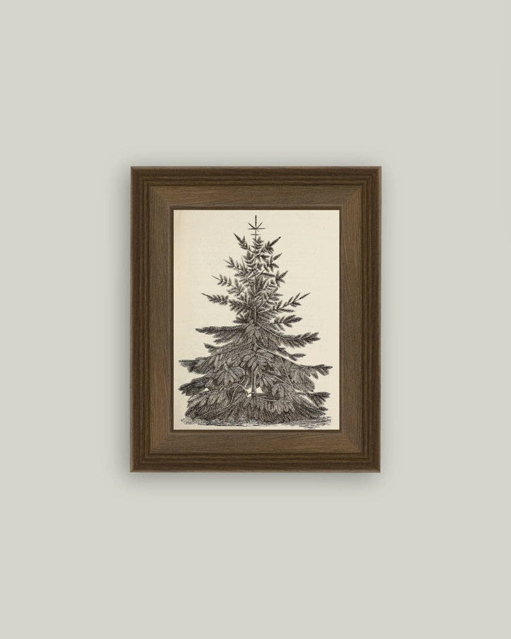 Framed artwork of a pine tree