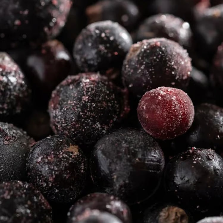 Juicy Acai Pura Refill