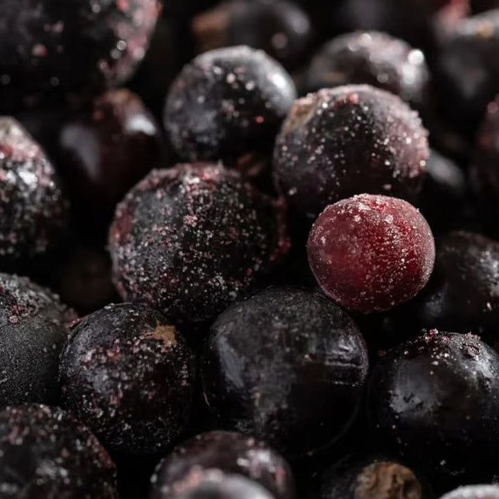 Juicy Acai Pura Refill