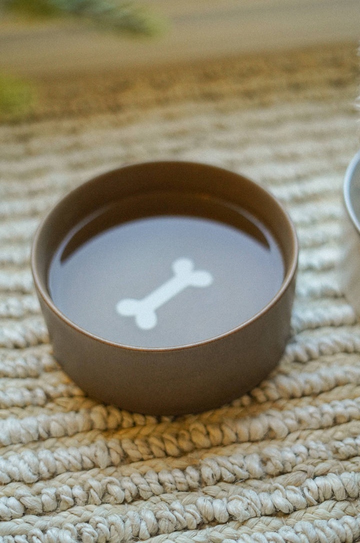Brown ceramic bowl with a white bone design on a textured beige surface