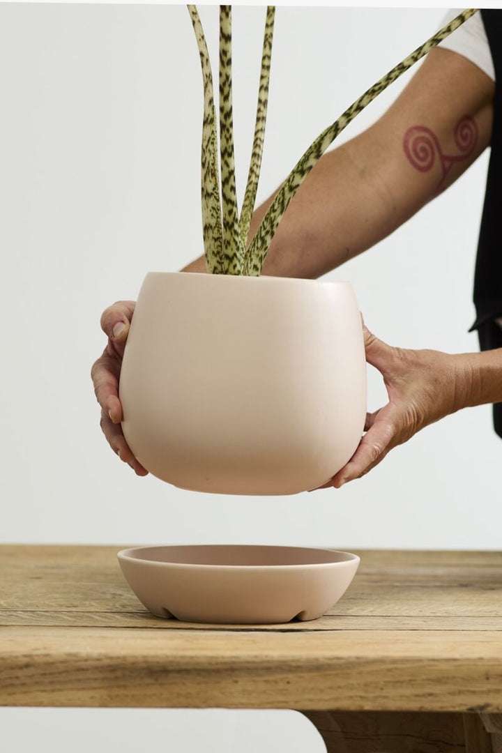 Dalton Pot with Saucer