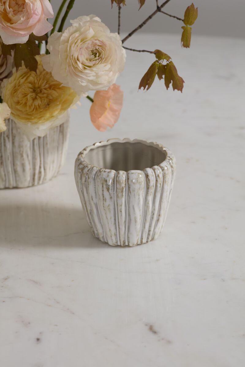Decorative ceramic pot with ribbed texture on a light surface, containing flowers.