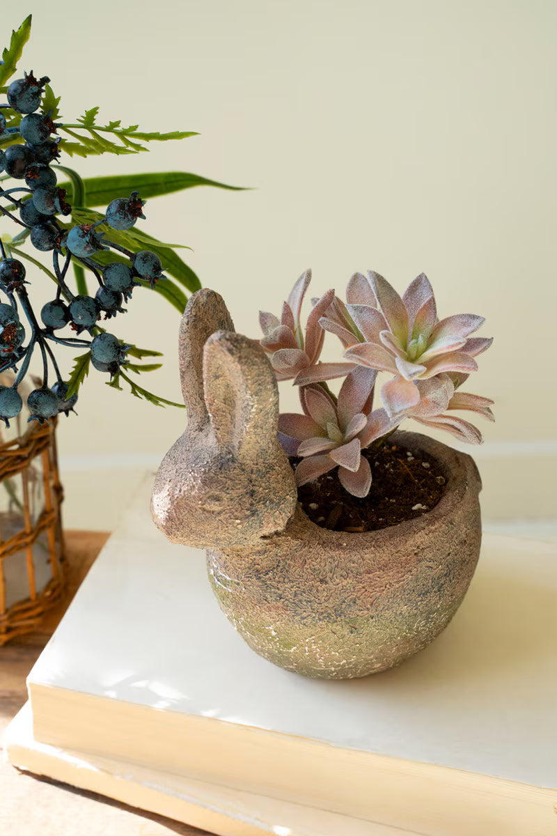 Decorative rabbit-shaped pot with succulent plant on a white surface