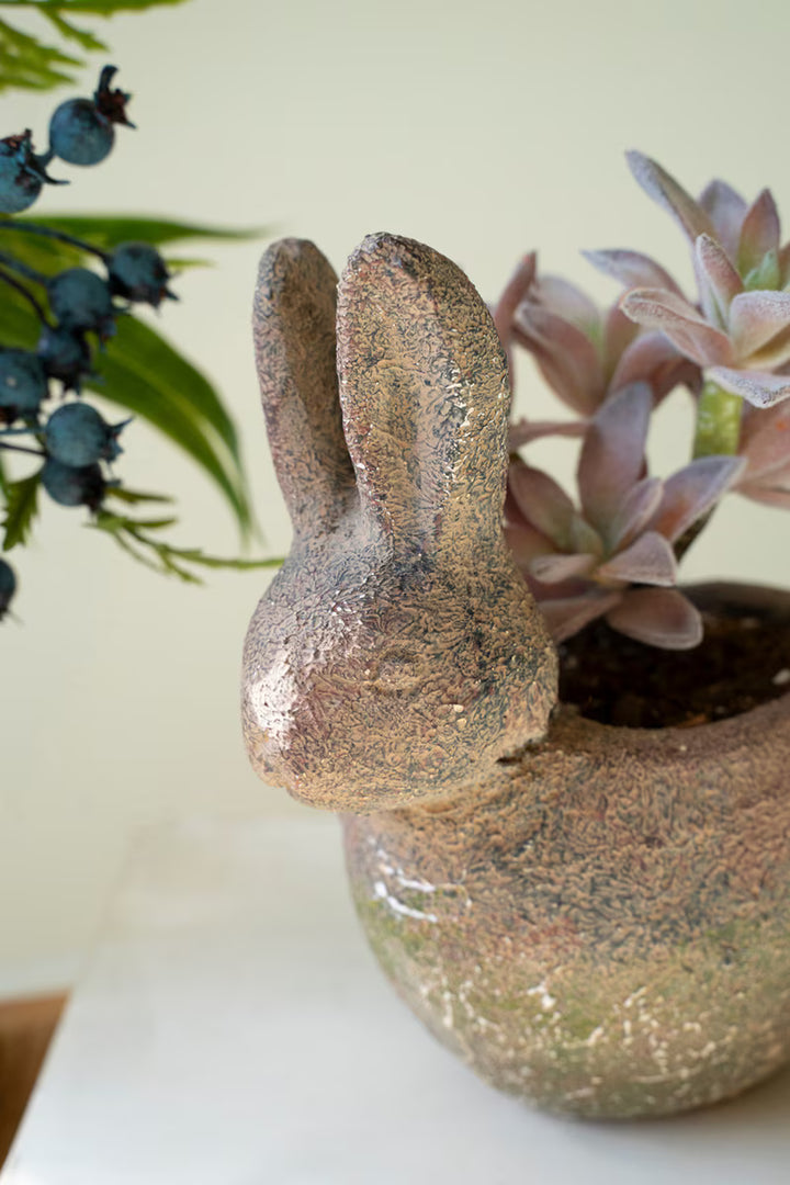 Decorative rabbit-shaped pot with succulents on a light background