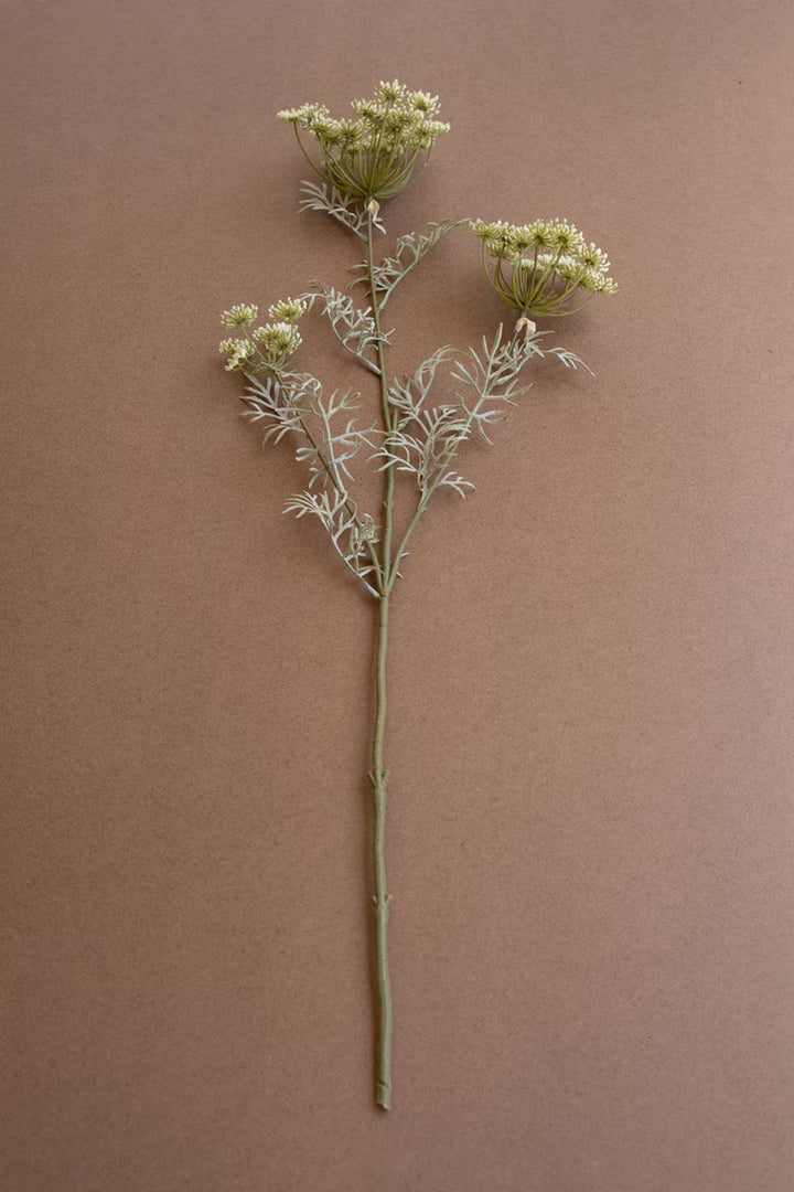Single stem of a plant with small green flowers on a brown background