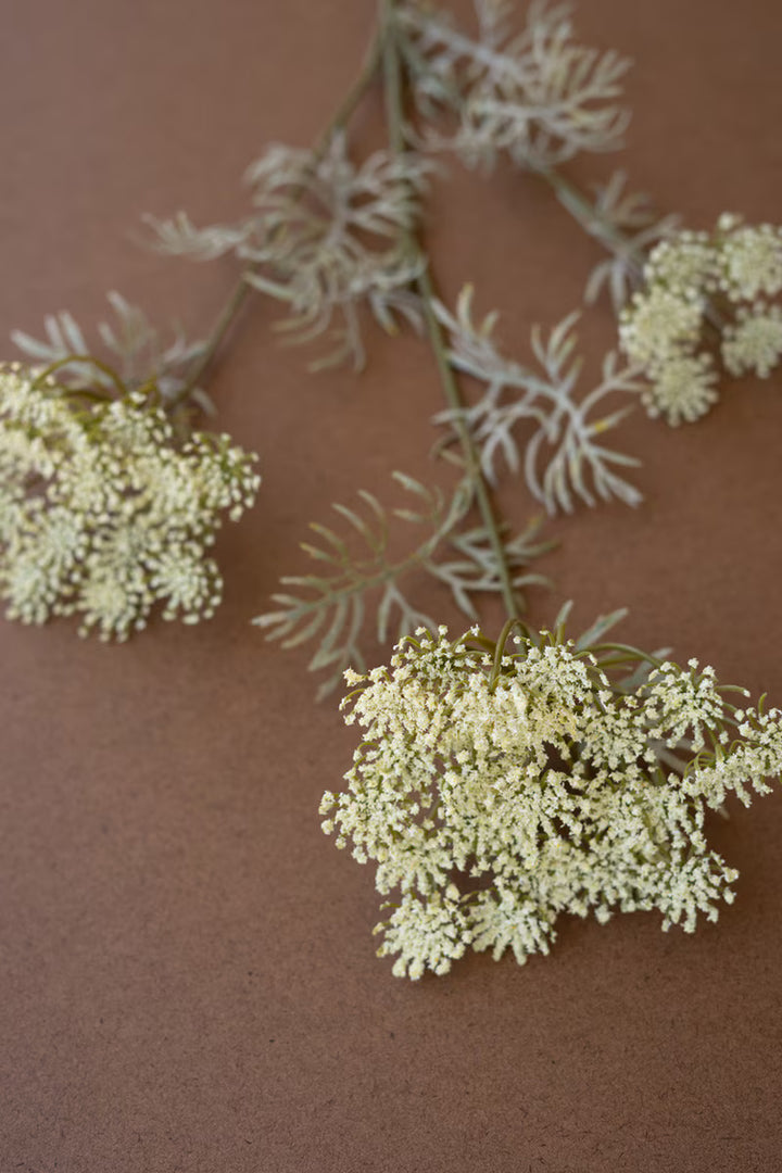 White flowers on a brown background