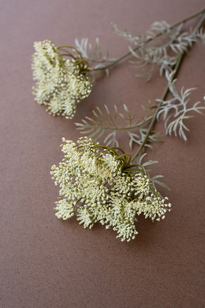 Two branches of light green flowers on a brown background