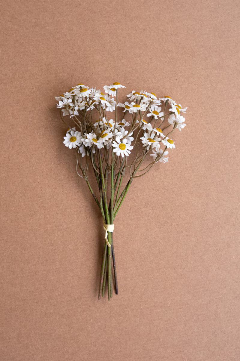 Bouquet of chamomile white flowers with yellow centers on a brown background