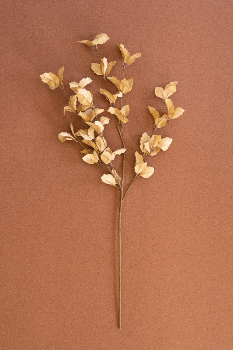 Botanica Spray