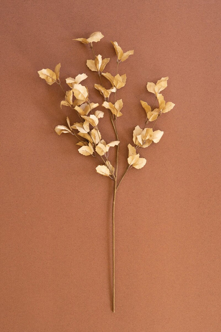 Botanica Spray