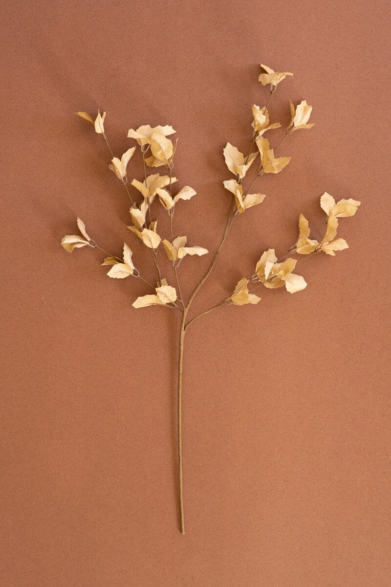 Botanica Spray