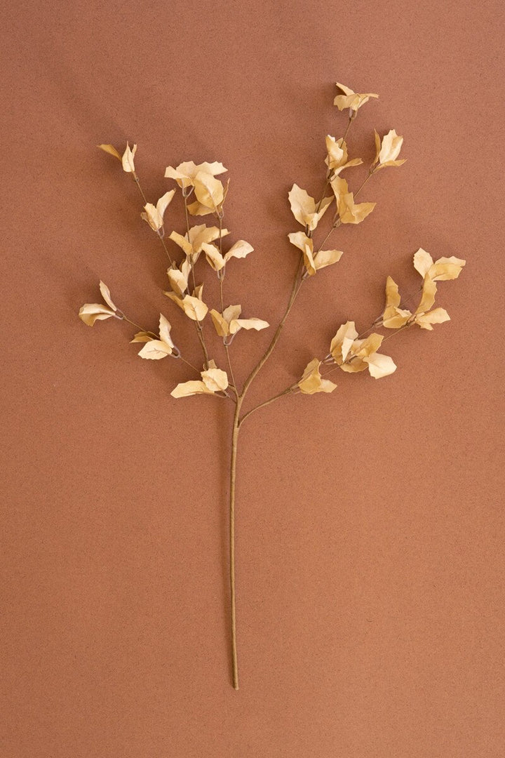 Botanica Spray