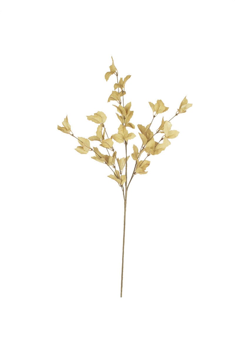 Botanica Spray