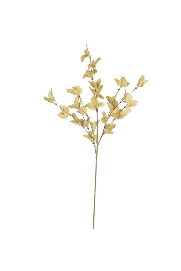 Botanica Spray