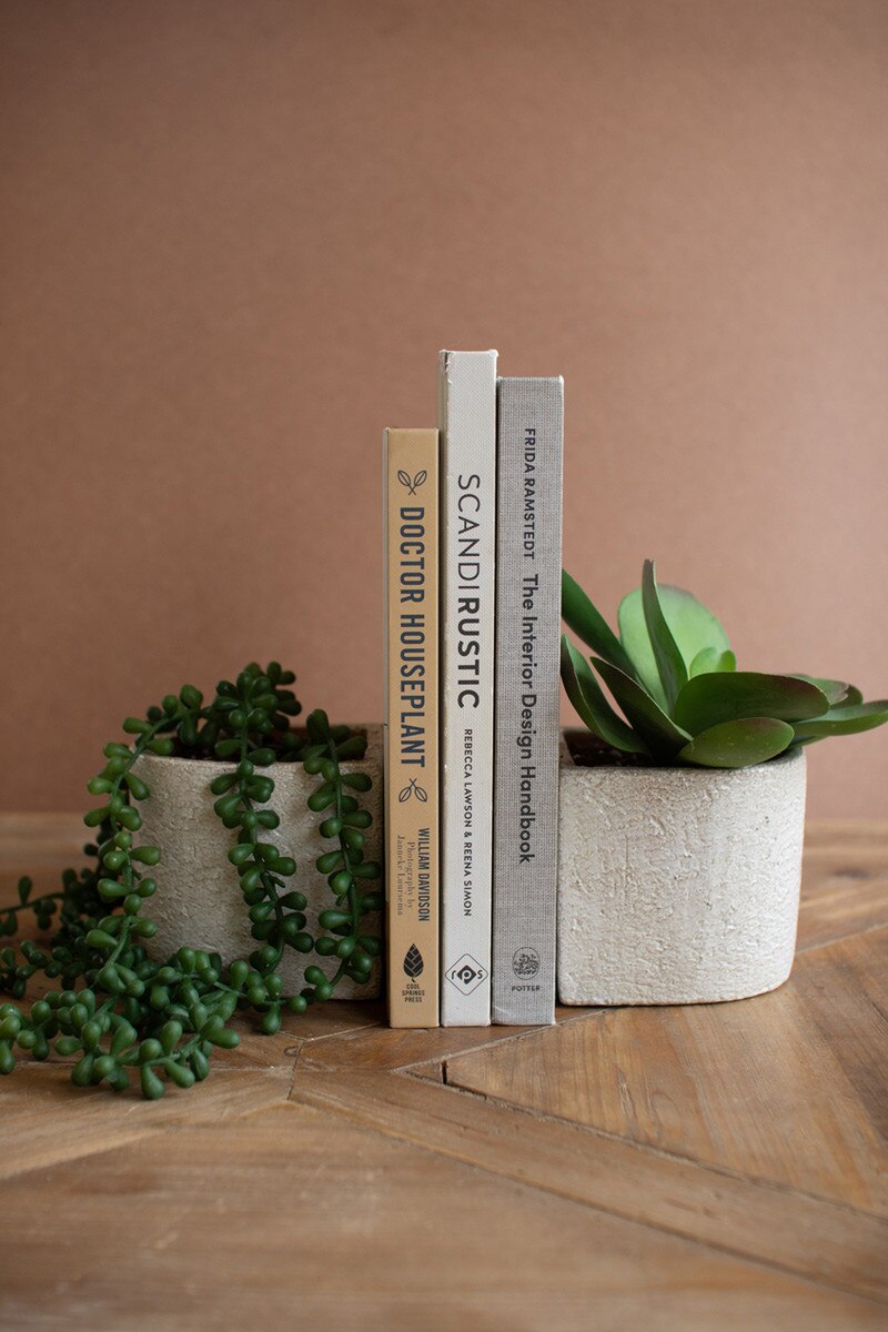 Three books between two small potted plants on a wooden surface with a beige background