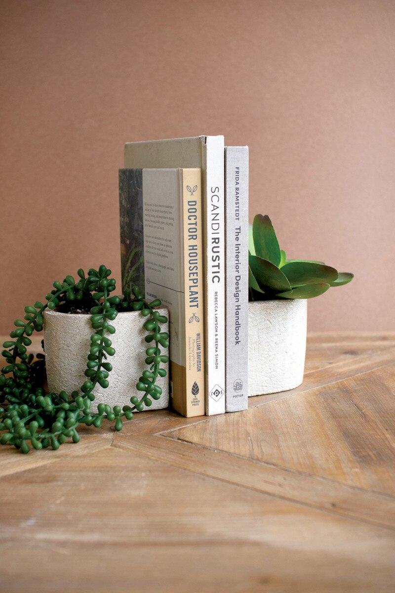 Three books between two small potted plants on a wooden surface with a beige background