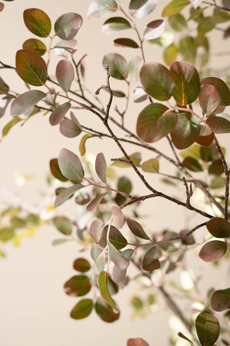 Close-up of green leaves on a branch against a neutral background